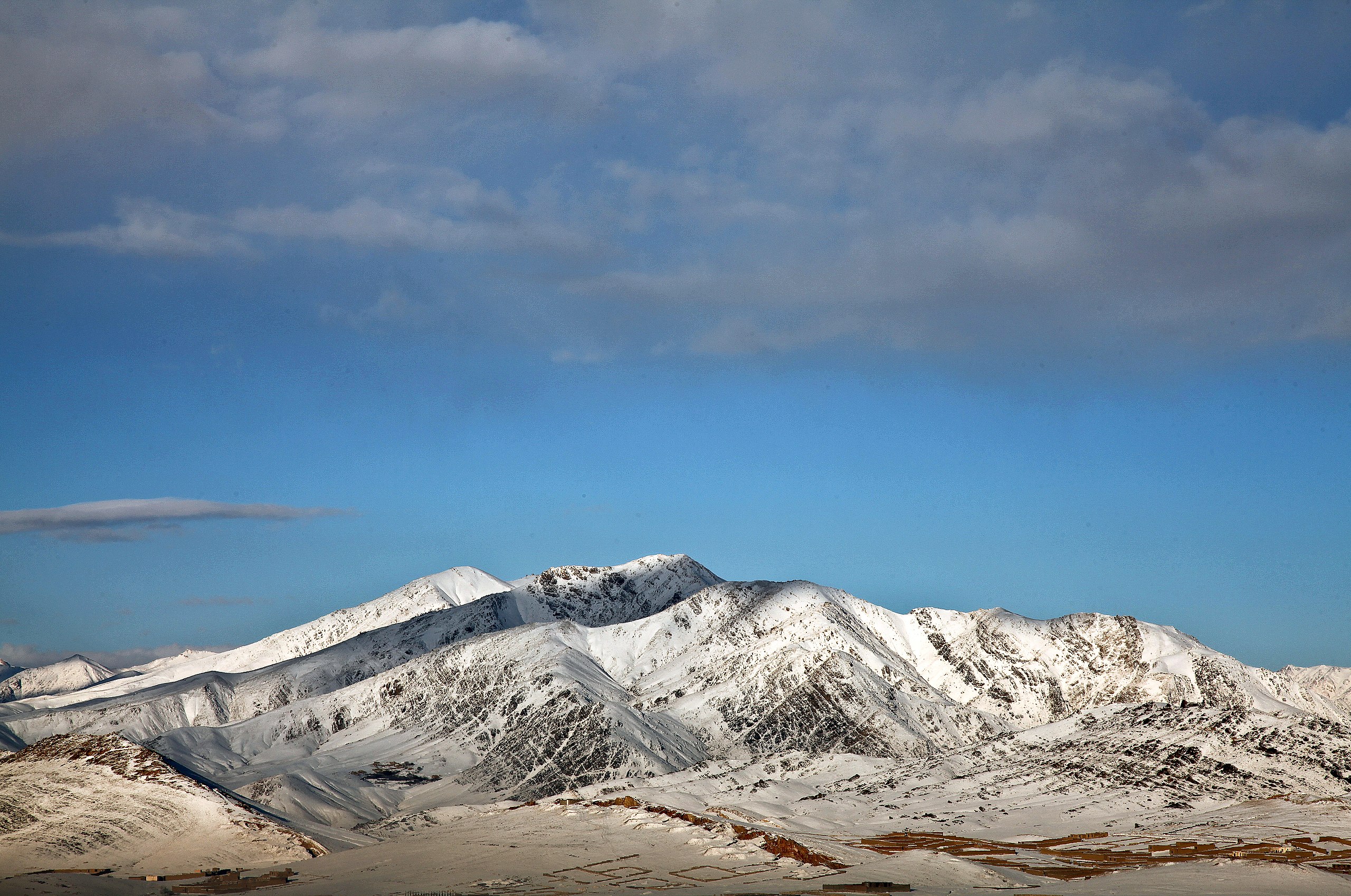 Wardak